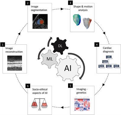 Editorial: Current and Future Role of Artificial Intelligence in Cardiac Imaging